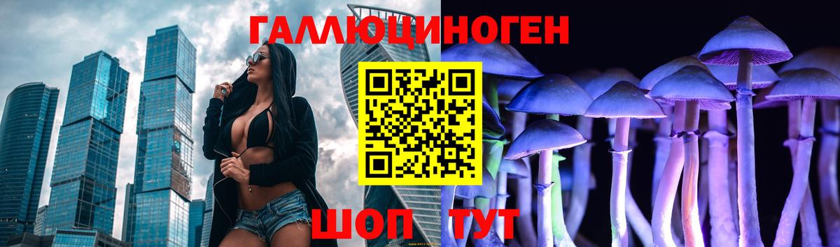Волгоград  Галлюциногенные грибы Psilocybe  Вход с VPN 