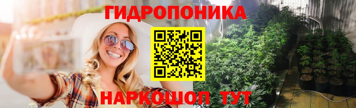 Бошки марихуана Ganja Волгоград